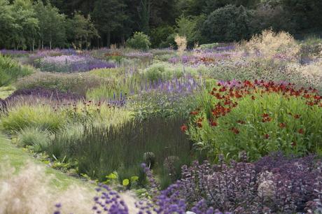 460x306 Painting With Plants - Painting With Plants