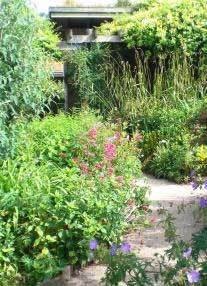 207x286 Painting With Plants - Painting With Plants