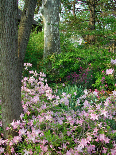 378x504 Planting Design - Painting With Plants