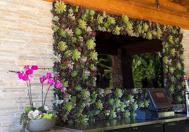 640x445 Succulent Plant Design Painting With Plants San Diego Area - Painting With Plants