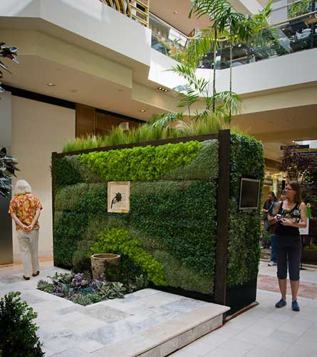 445x500 Tle Press Release Painting With Plants - Painting With Plants