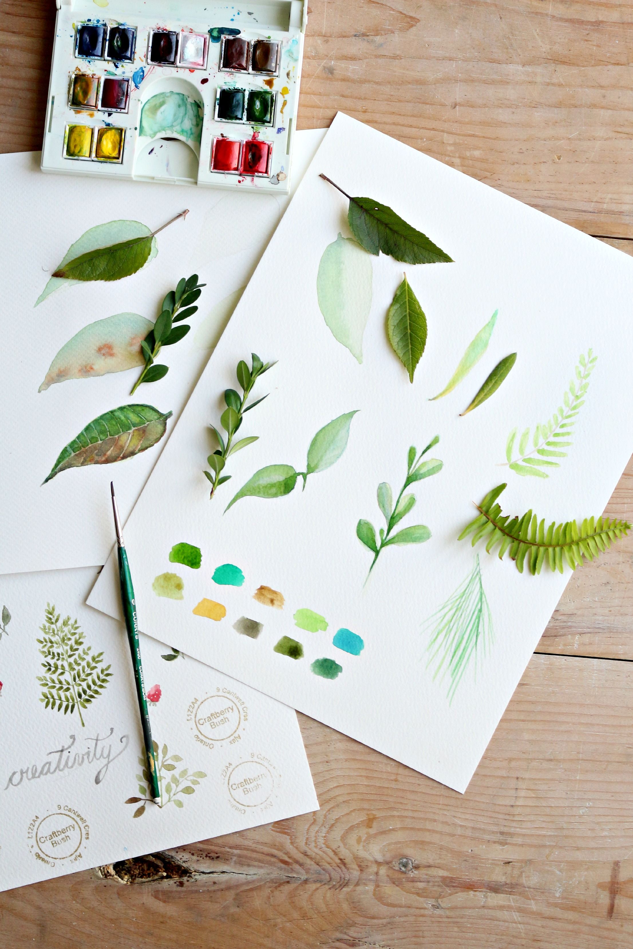 2212x3318 How To Paint A Basic Leaf With Watercolors - Painting With Plants