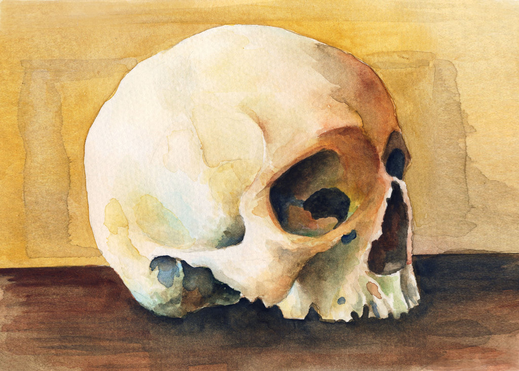 1024x731 Watercolour Skull Painting - Painting With Skull