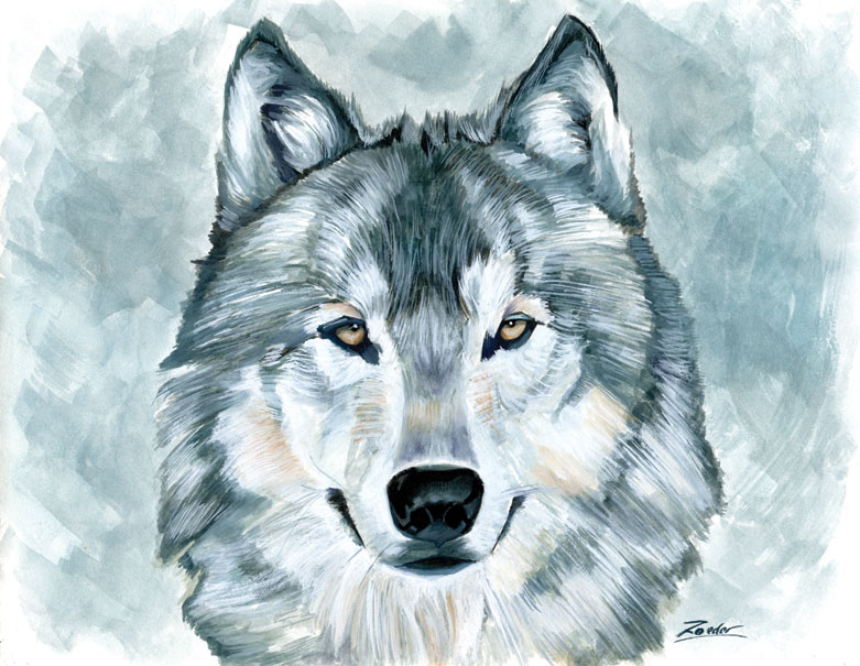 781x605 Wolf Painting By Edroeder - Painting Wolf