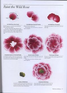 236x324 Simply Crafts The Small Open Rose - Painting Worksheets