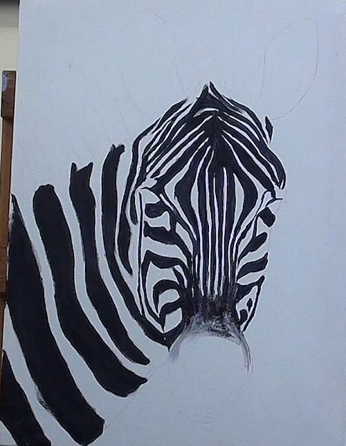 Painting Zebra Stripes at Explore collection of