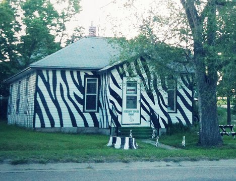 468x359 Tiger Stripes To Cow Spots 13 Playful Home Paint Jobs Urbanist - Painting Zebra Stripes