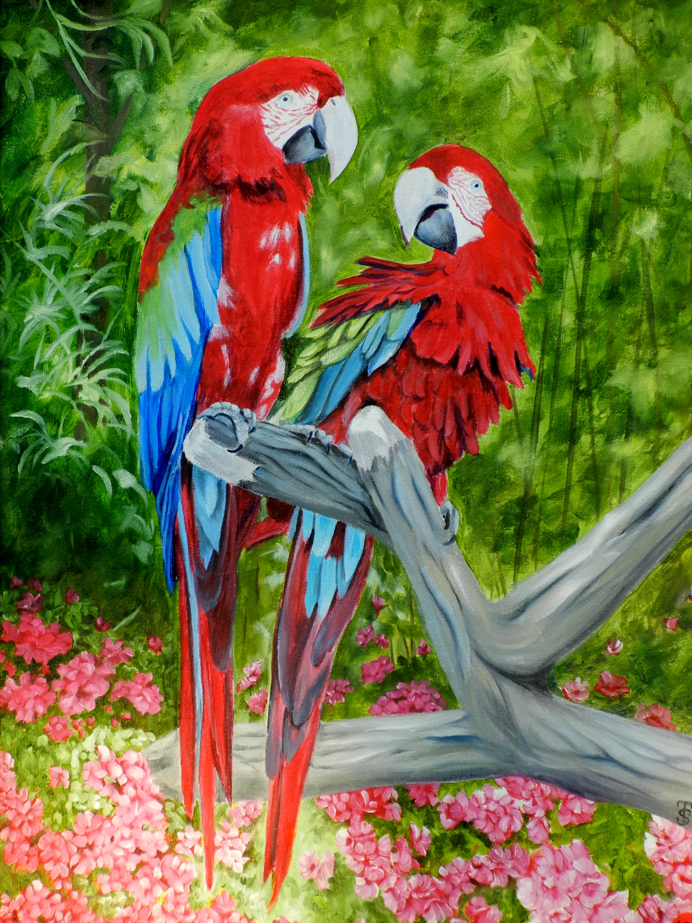 2815x3755 Painting Of Zoo Parrots Draw Mix Paint Forum - Painting Zoo