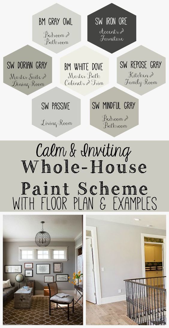 564x1095 Calm And Inviting Whole House Paint Scheme - Paintinginfo