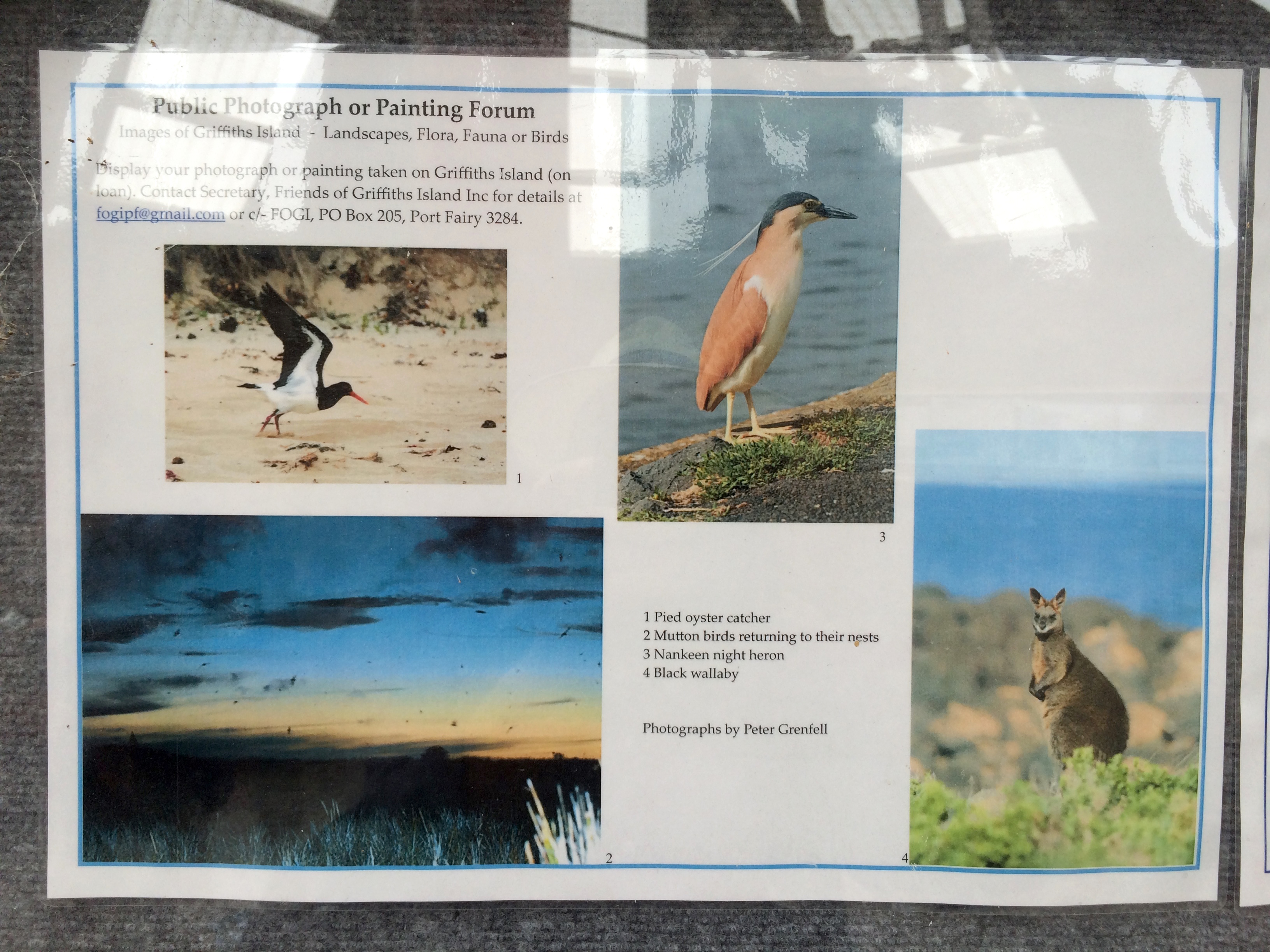 3264x2448 Fileshelter Griffiths Island Photos And Painting Info Board - Paintinginfo