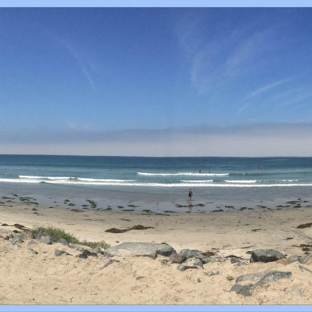 640x640 Spongebob Painty The Pirate Painting Canvas By Replicapropstore - Painty The Pirate Painting