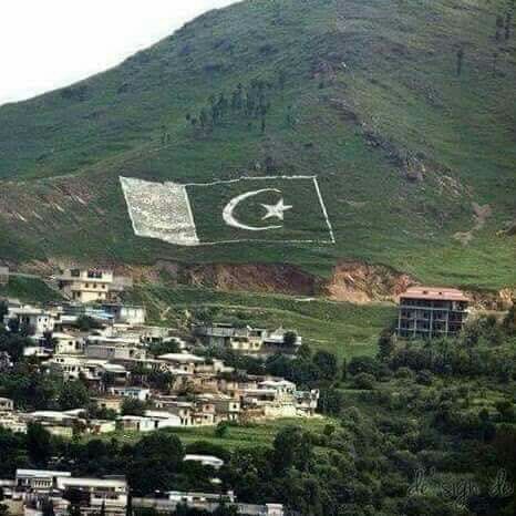 466x466 Pakistan's Flag Beautifully Made On A Hill In Mansehra, Pakistan - Pakistan Flag Painting
