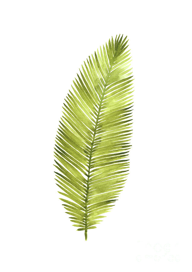 636x900 Coconut Palm Leaf Watercolor Painting,tropical Cocos Tree Art - Palm Leaf Painting