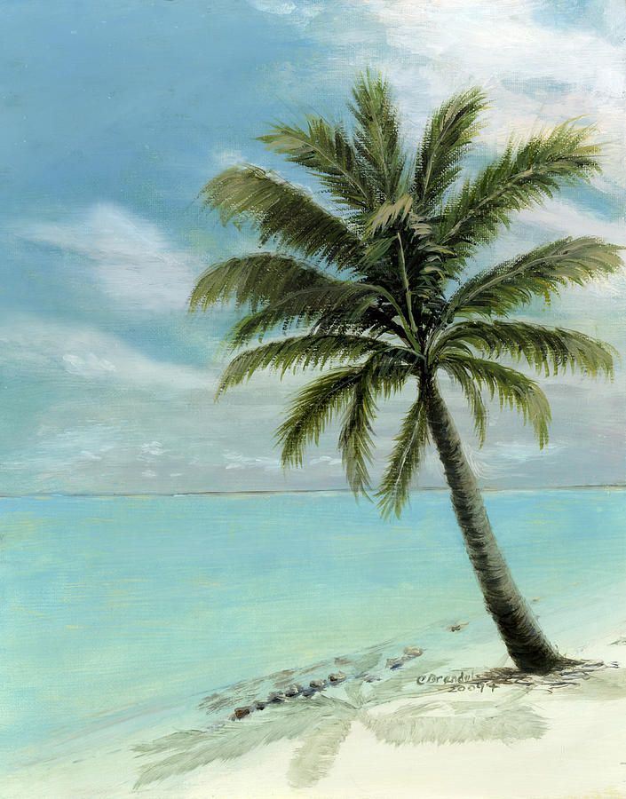 705x900 Palm Tree Study Painting Beach Paintings Palm - Palm Painting