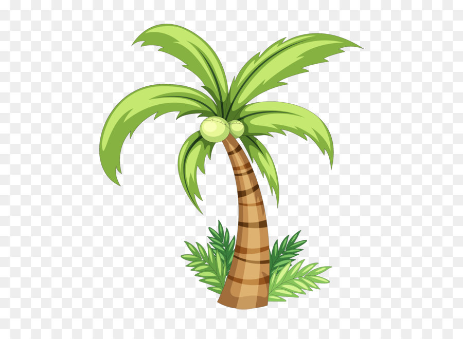 900x660 Coconut Drawing Clip Art - Palm Tree Leaf Painting