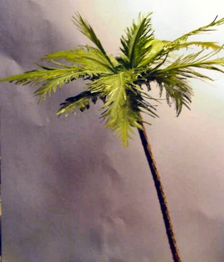 722x846 Tech Tip Creating Realistic Palm Trees - Palm Tree Leaves Painting