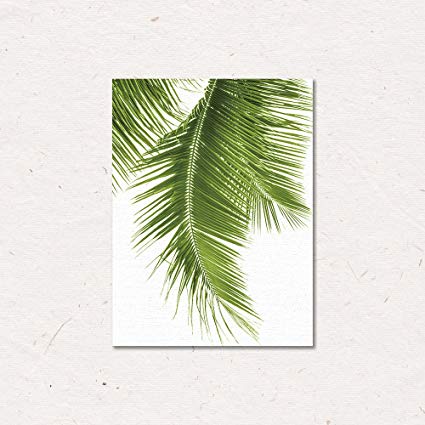 425x425 Canvas Wall Art Decor Framed Green Palm Leaves 19.7 X - Palm Tree Leaves Painting