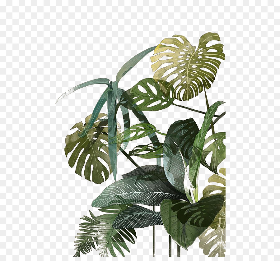 900x840 Botanical Illustration Drawing Watercolor Painting Tropics - Palm Tree Leaves Painting