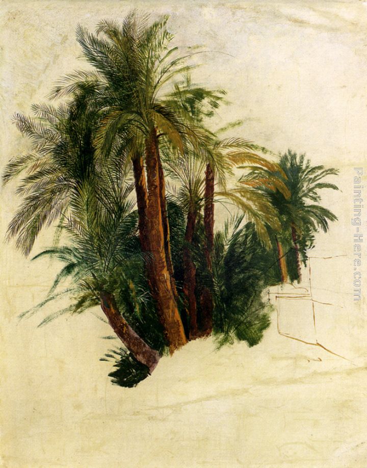 720x918 Edward Lear Study Of Palm Trees Painting Anysize 50% Off - Palm Tree Painting