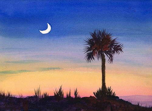 500x365 Captelaine 100 Landscapes Page 2 - Palmetto Tree Painting