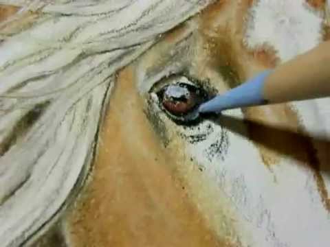 480x360 Painting A Day Demonstration - Palomino Painting