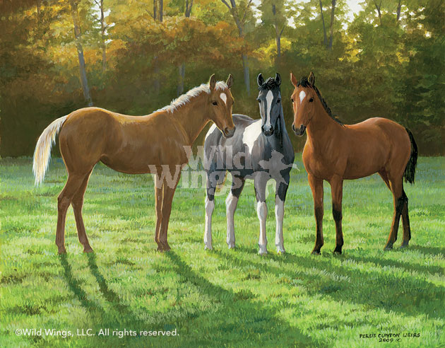 630x492 Palomino, Paint And Bay Horses Original Acrylic Painting Wild Wings - Palomino Painting