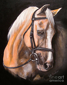 235x300 Palomino Paintings - Palomino Painting