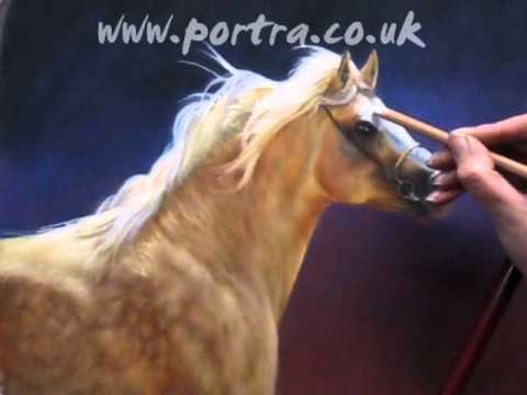 480x360 Speed Painting - Palomino Painting
