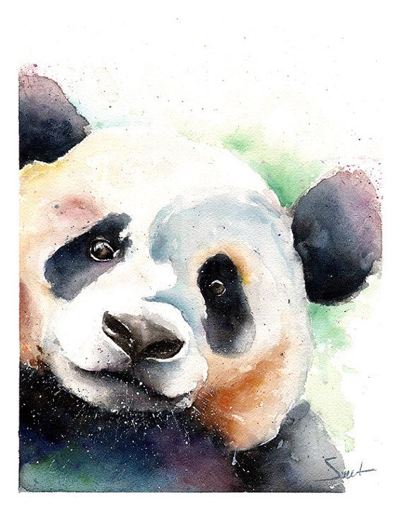 570x727 Panda Bear Painting Watercolor Panda Original By Signedsweet - Panda Bear Painting