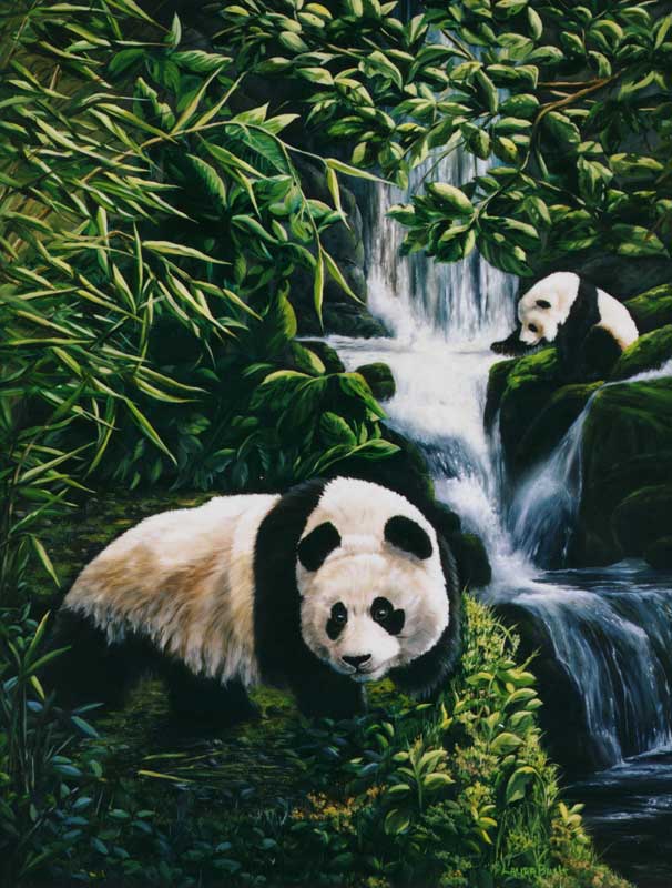 606x800 Panda Bear 2 Wildlife Art By Laura Curtin - Panda Bear Painting