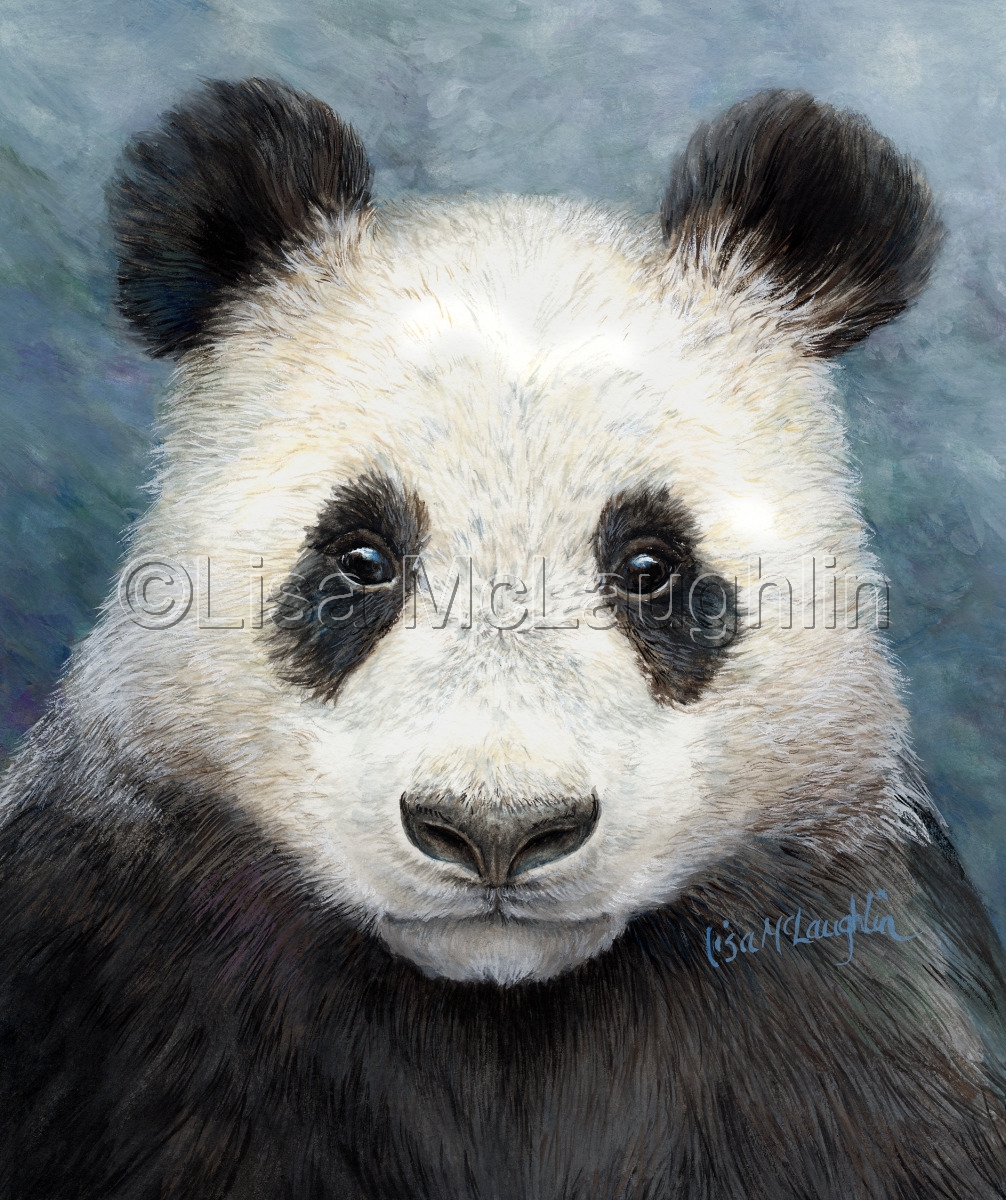1006x1200 Wildlife Watercolor Paintings Panda Bear By Lisa Mclaughlin - Panda Bear Painting