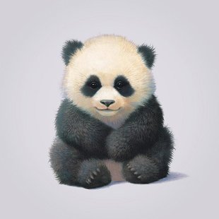 310x310 Panda Canvas Wayfair.co.uk - Panda Canvas Painting