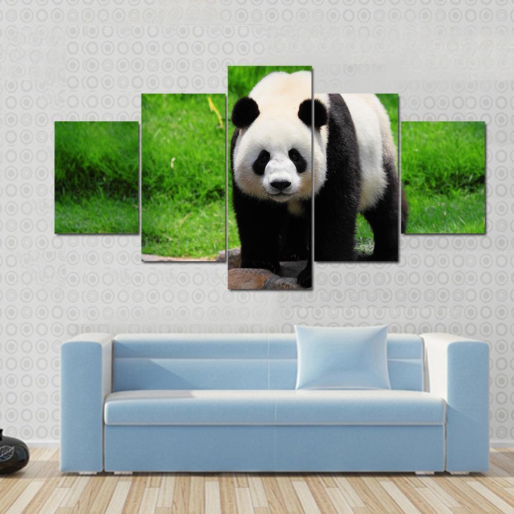 1000x1000 Panda Eye Contact Multi Panel Canvas Wall Art - Panda Canvas Painting