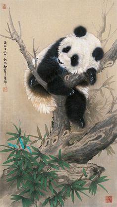 236x416 The 1691 Best Chinese Painting Images On Chinese - Panda Chinese Painting