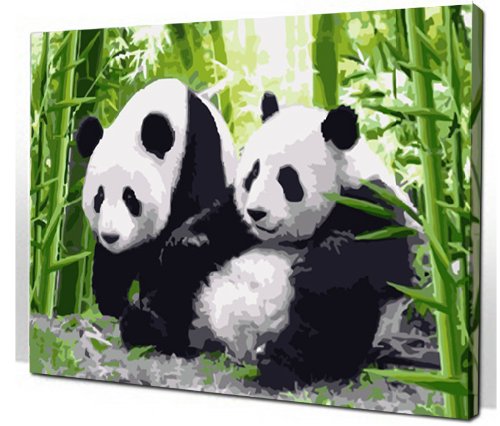 500x426 Diy Oil Painting, Paint By Number Kit Panda 1620 Inch. - Panda Oil Painting