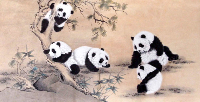 800x409 Chinese Panda Painting 0 4336023, 69cm X X - Panda Painting
