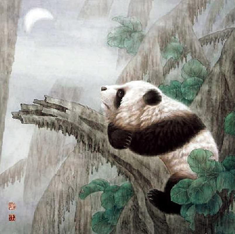 804x800 Chinese Panda Painting 0 4734059, 66cm X X - Panda Painting