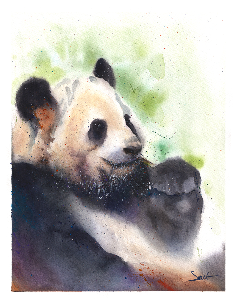 800x1018 Giant Panda Watercolor Original Painting Watercolor Animal Paintings - Panda Painting