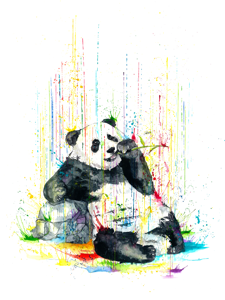 880x1173 Quiet Animals In Loud Watercolors Bored Panda - Panda Watercolor Painting