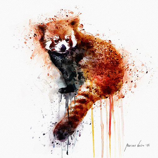 504x504 Red Panda Instant Download Watercolor Painting Printable Wall - Panda Watercolor Painting