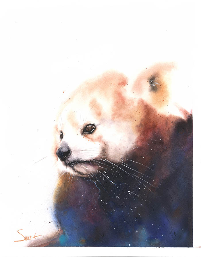 700x891 Red Panda Watercolor Original Painting Watercolor Animal Paintings - Panda Watercolor Painting