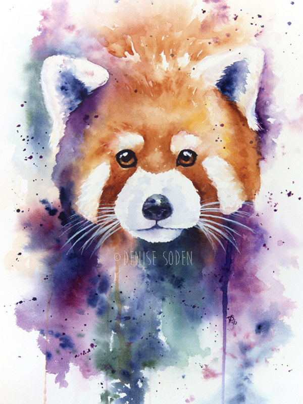 600x800 Red Panda Watercolor Painting By Denisesoden - Panda Watercolor Painting