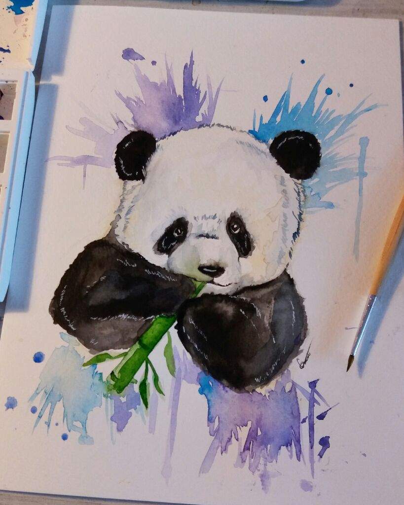 819x1024 Watercolor Panda Art Amino - Panda Watercolor Painting