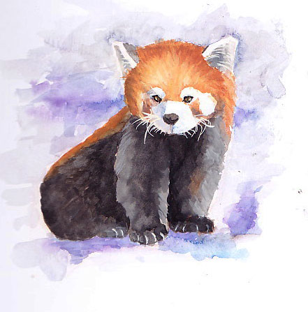 441x447 Red Panda Ros's Paintings - Panda Watercolor Painting