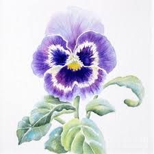 225x225 73 Best Watercolor Pansy Images On Pansies, Watercolor - Pansy Flower Painting