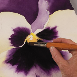 300x300 Painting Watercolor Flowers Step By Step Pansy Power Birgit O'Connor - Pansy Flower Painting