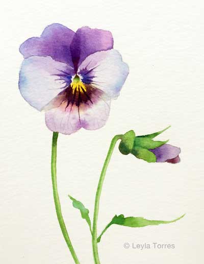 400x517 Painting A Pansy In Watercolor - Pansy Flower Painting