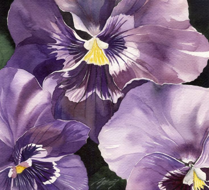 Pansy Painting