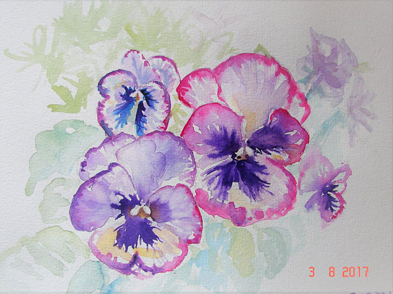 570x427 Pansy Art Original Watercolour Painting Floral Pansy Flower - Pansy Painting