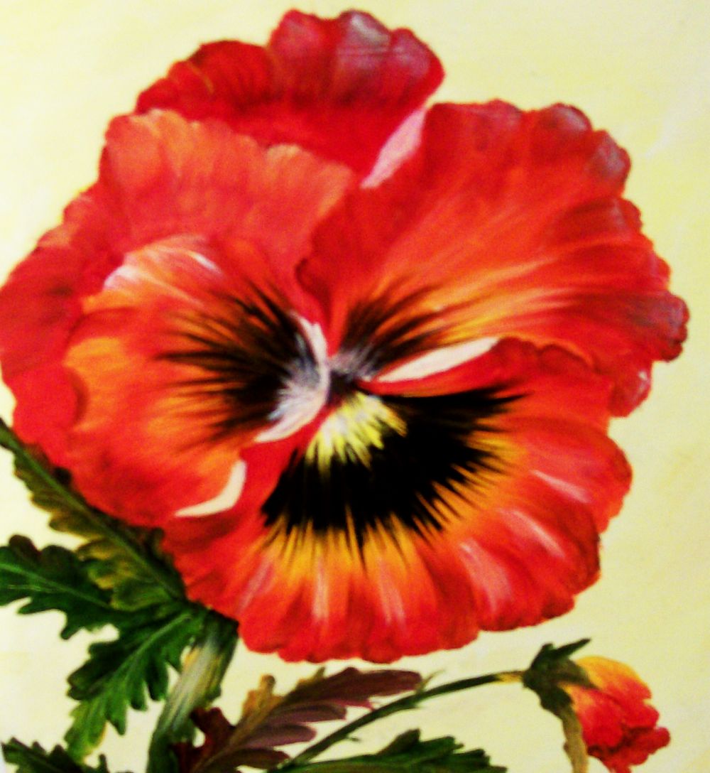 1000x1088 Fancy Red Pansy Oil Painting Barbsgalleryofart Foundmyself - Pansy Painting